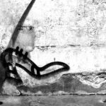 Fragment 2 Paris, © 2023 Stephanie Myers